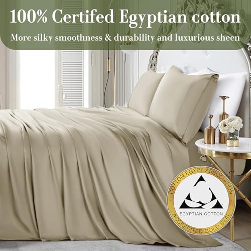 Shilucheng 100% Egyptian Cotton Queen Size Sheets Set - 1000 Thread Count，Luxury Cotton Bed Sheets，Breathable & Cooling Bedding and Pillow Cases, 16 Inch Deep Pocket - 4 Piece (Dark Grey, Queen)