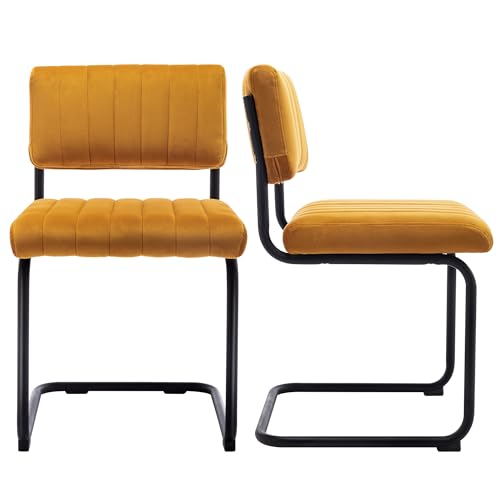 Velvet Dining Chairs Set of 2, Green Dining Room Chairs with Metal Legs and Comfortable Cushion, Upholstered Cesca Chairs for Dining Room Kitchen Room Reading Room