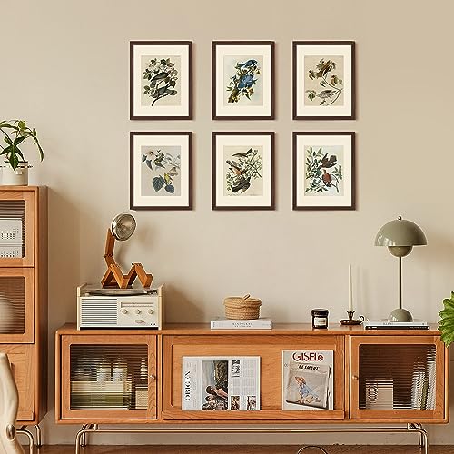 upsimples Picture Frame Set of 5, Display Pictures 8x10 with Mat or 11x14 Without Mat, Wall Gallery Photo Frames, White