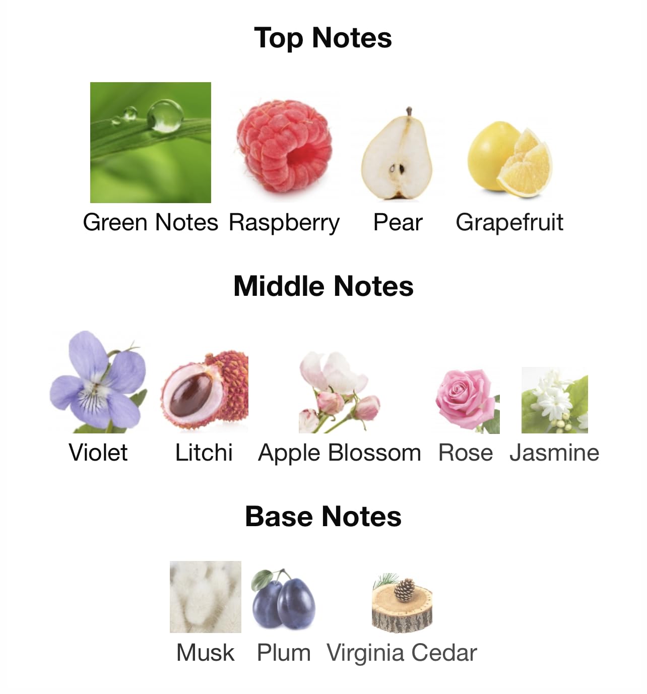 Marc Jacobs DAISY EAU SO FRESH Eau de Toilette Spray Samples (4 vials)