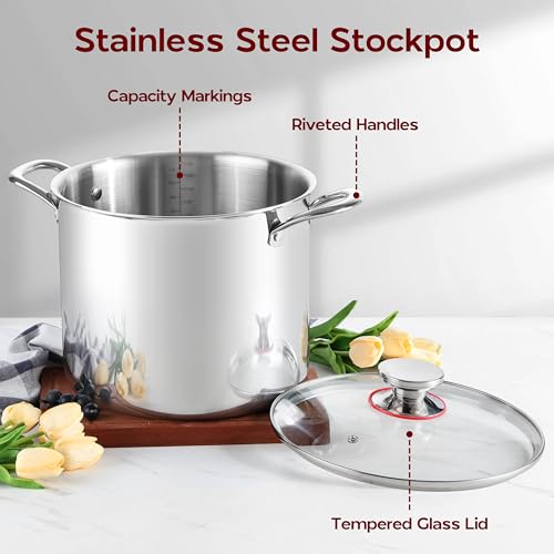 18/10 Stainless Steel Stock Pot 8 Quart Cooking Pot with Lid Tri-Ply Induction Pot