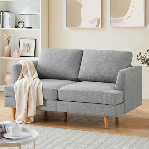 Loveseat Sofa 65