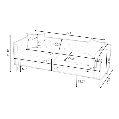 FANYE Velvet Upholstered 2 Pillows,Modern 3 Seaters Sofa Couch with Nailhead Decor and Metal Legs for Living Room, 83