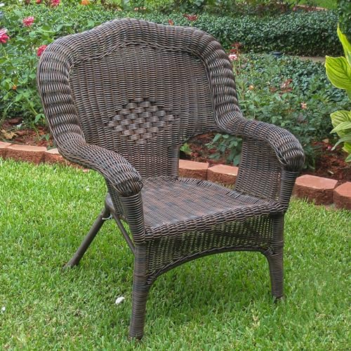 International Caravan Furniture Piece Camelback Resin Wicker Patio Chairs (Set of 2)