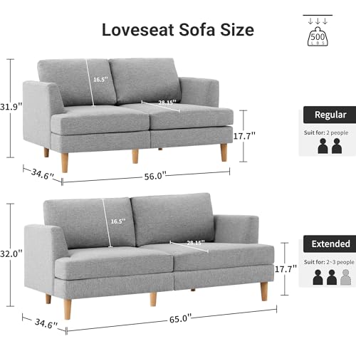 Loveseat Sofa 65