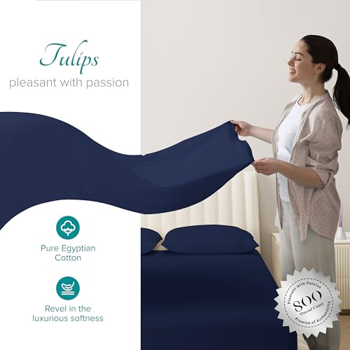 Carressa Linen 100% Egyptian Cotton Sheets Queen Size 800 Thread Count 6 PC Crisp White Cotton Sheets for Queen Size Bed, Extra Long Staple Soft Cooling Sheets, Luxury Hotel Sheets, 16 