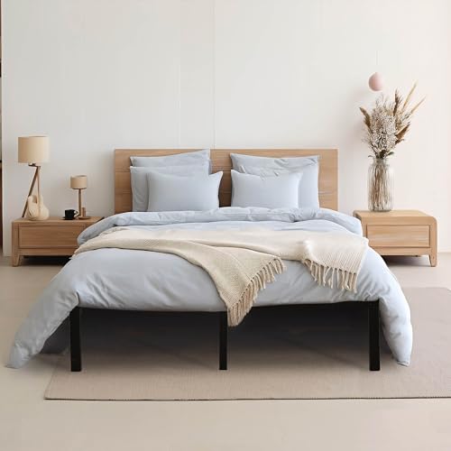 14 Inch Bed Frame Queen Size Heavy Duty Steel Slat Support Metal Platform Queen Bed Frame No Box Spring Needed, Easy Assembly, Black (Queen)