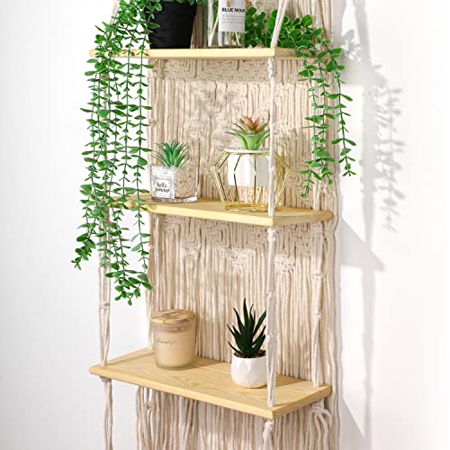 Macrame Wall Hanging Shelf,Hanging Plant Shelf,2 Tier Wall Hanging Shelf,Perfect for Small Plants, Picture Frames, books.