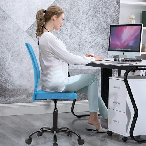 Home Office Chair Mesh Desk Chair, Armless Cheap Computer Chair Ergonomic Task Chair, Rolling Swivel Back Support Adjustable Modern Executive Chair with Lumbar Support Wheel (White)
