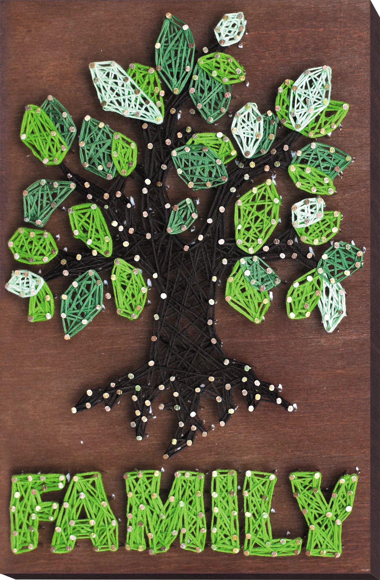 String Art Creative DIY Kit 