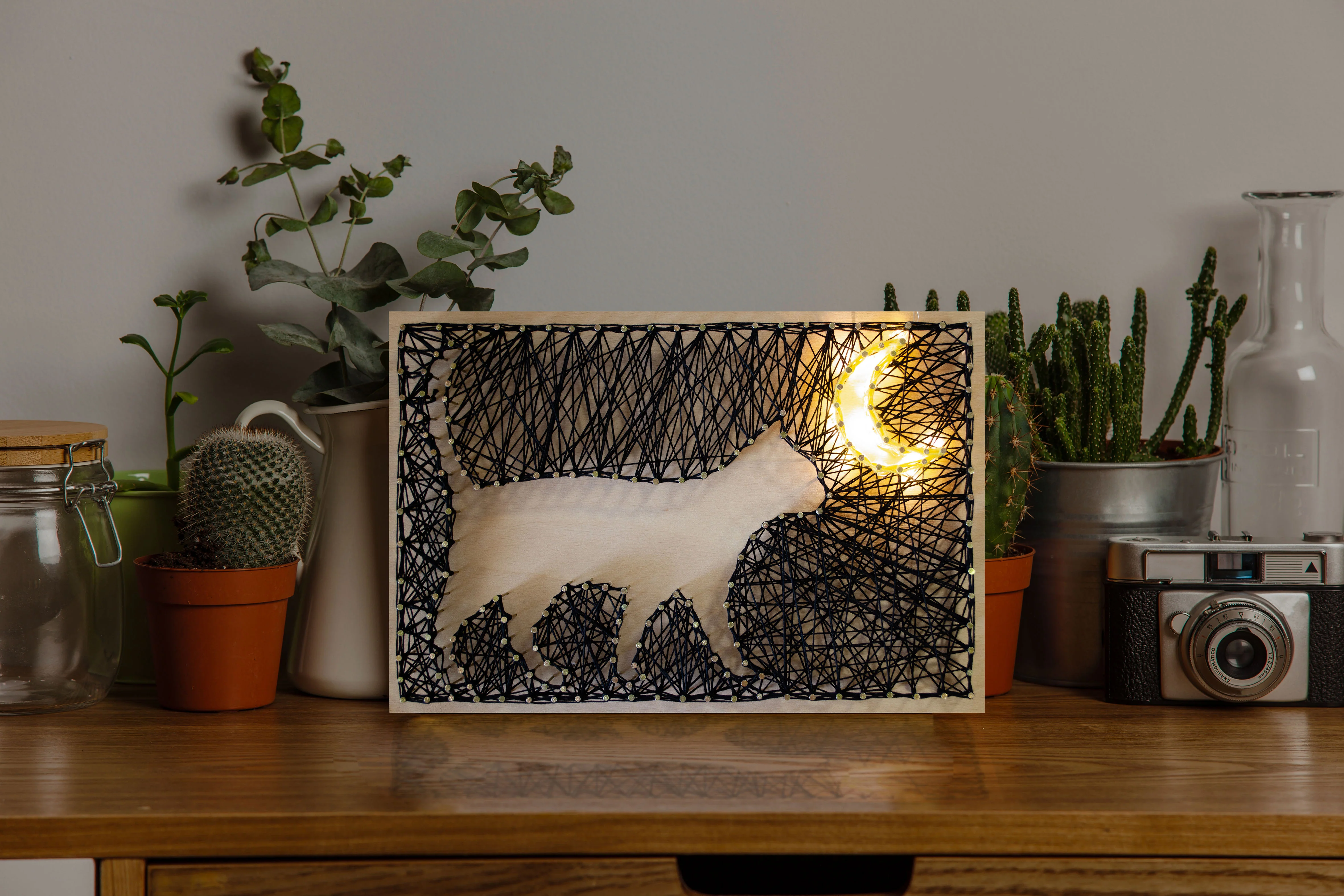 String Art Creative DIY Kit 