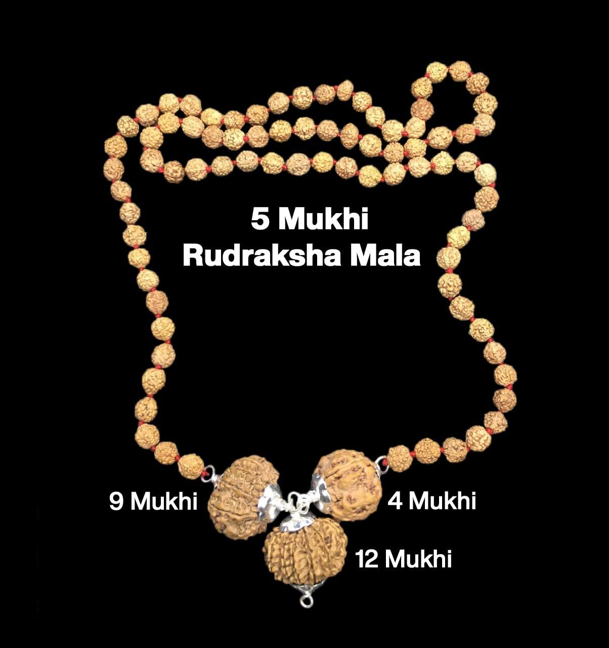 Rudraksha Combination for Doctors 4,9,12 Mukhi Nepal in Rudraksha Mala IGL Lab Certified Original Genuine Beads (Small)