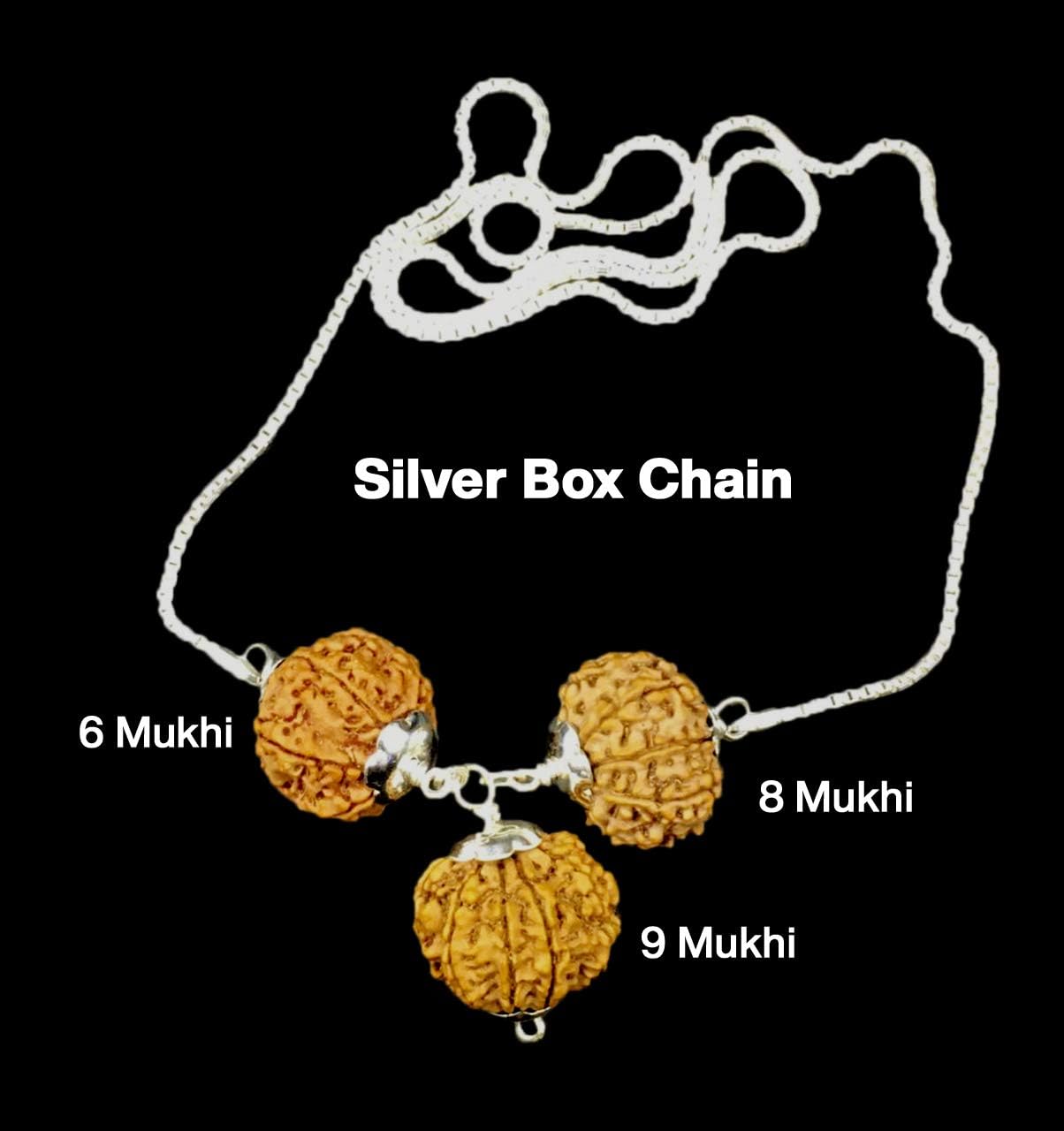 Rudraksha Combination for Females in Business 6,8,9 Mukhi Nepal in Silver Chain IGL Lab Certified Original Genuine Beads (Medium)