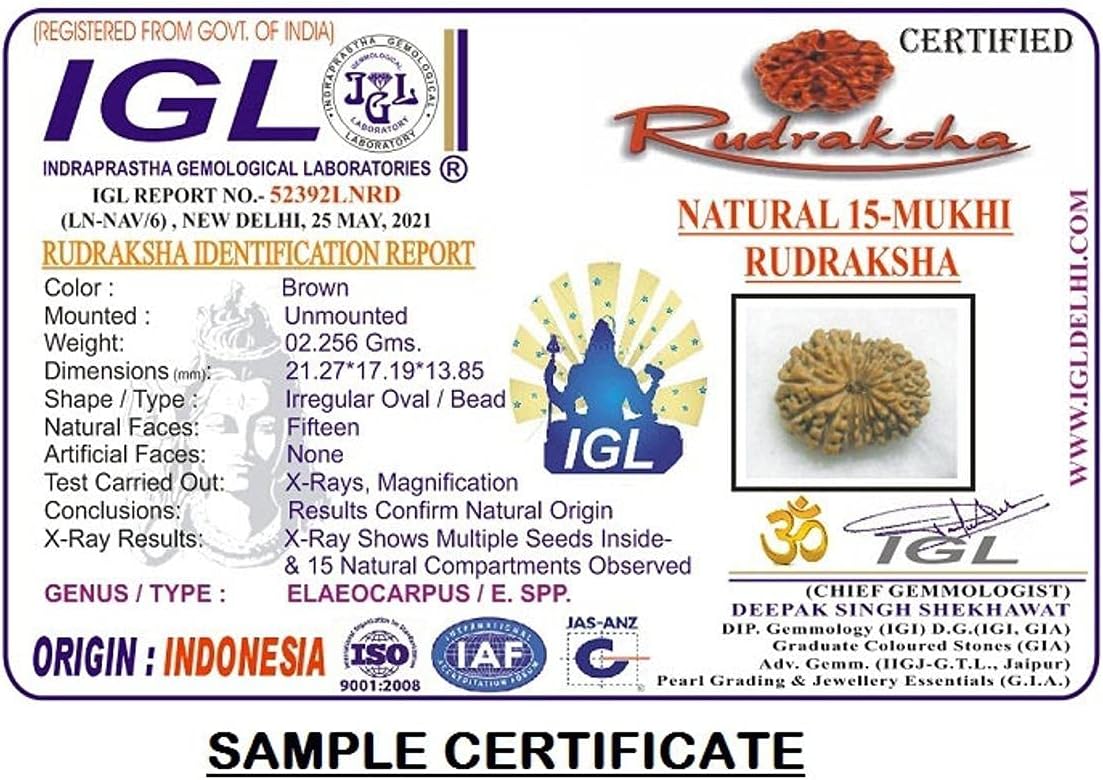 15 Mukhi Rudraksha Pendant from Java (Indonesia) 15mm-17mm Medium Size IGL Lab Certified Original Geniune 100% Natural.