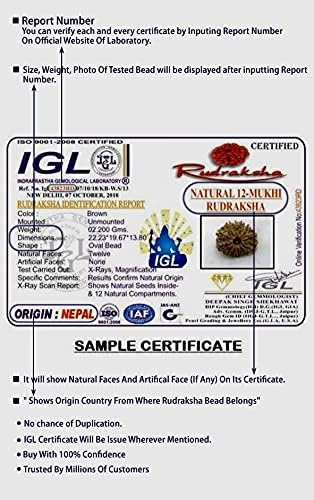 9 Mukhi Nepal Rudraksha /Nine Face/ Goddess Durga in Pure Silver Pendant IGL Certified 100% Original Geniune Bead All Size (Collector 26mm-28mm)