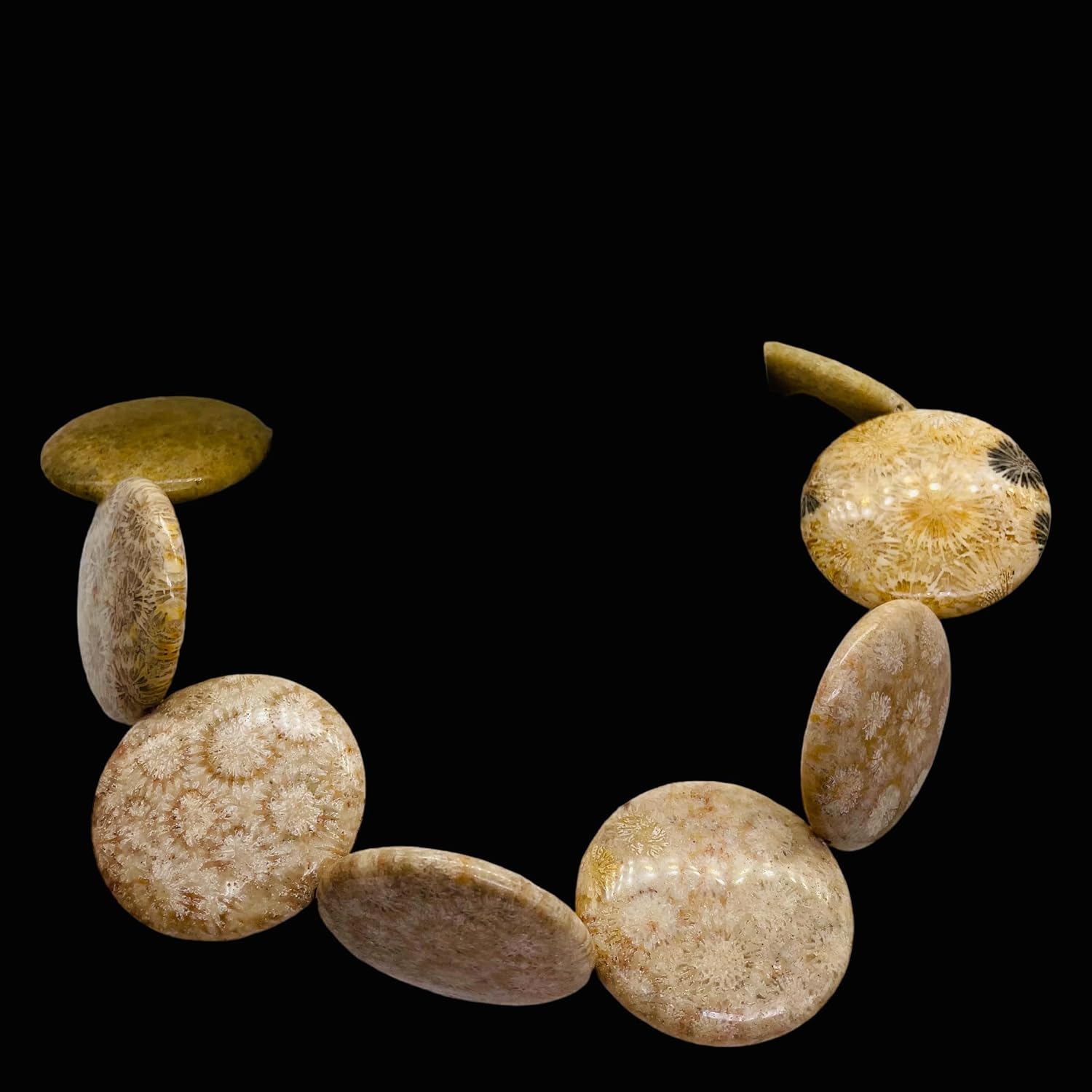 Fossilized Coral 35mm Coin Pendant Bead Strand 109156 for Jewelry Making