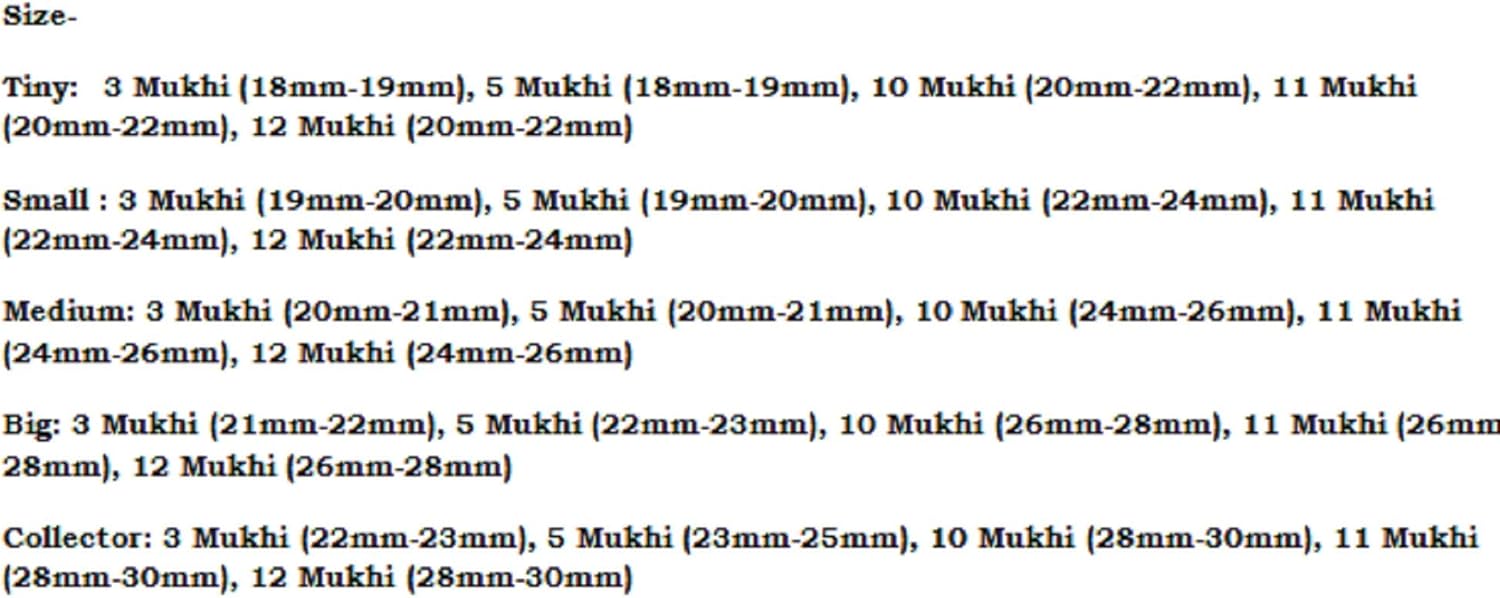 Rudraksha Combination for Navagraha Shanti 3,5,10,11,12 Mukhi Nepal in Silver Mala IGL Lab Certified Original Genuine Beads (Large)