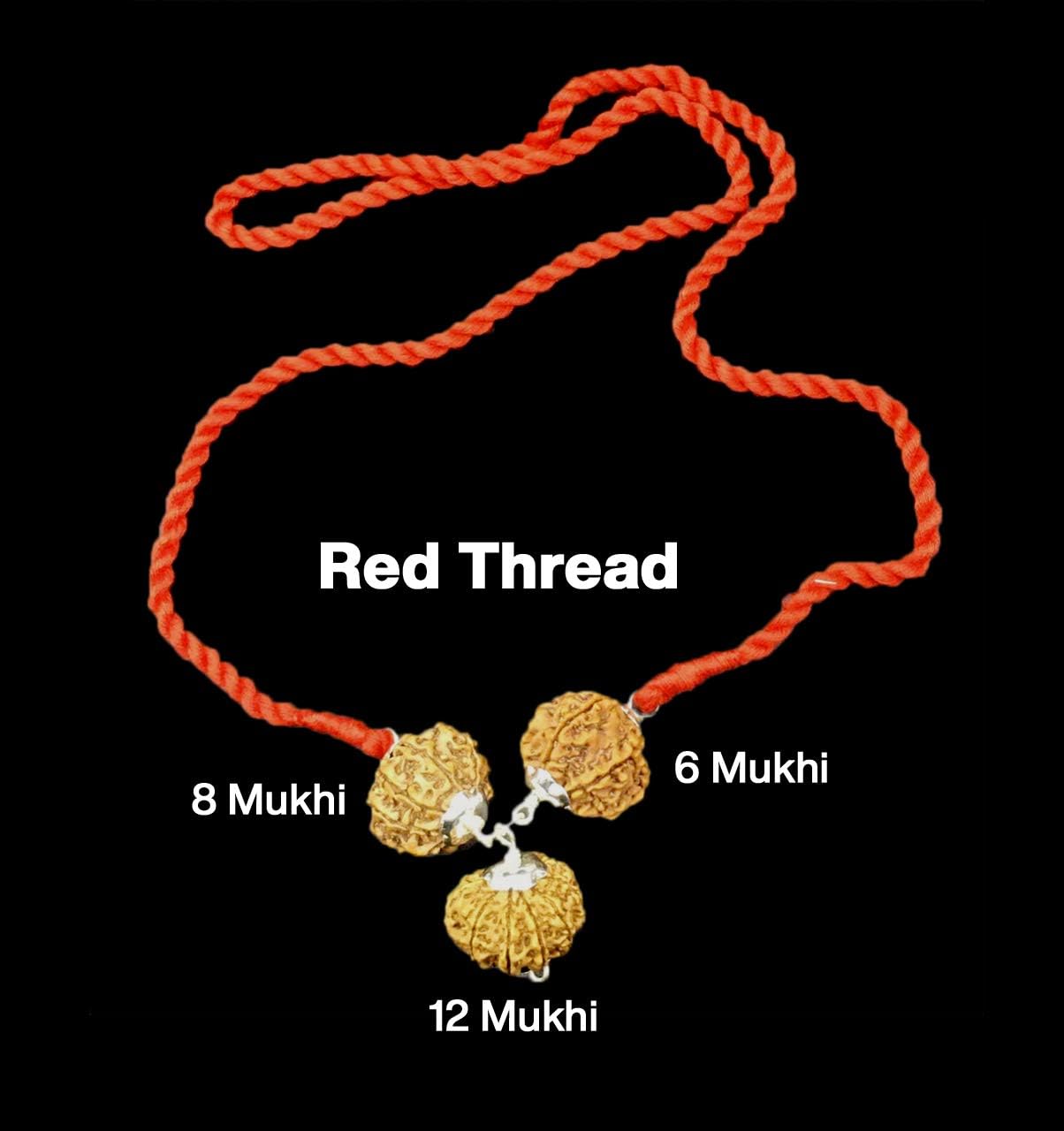 Rudraksha Combination for Business 6,8,12 Mukhi Nepal in Silver Pendant IGL Lab Certified Original Genuine Beads (Small)