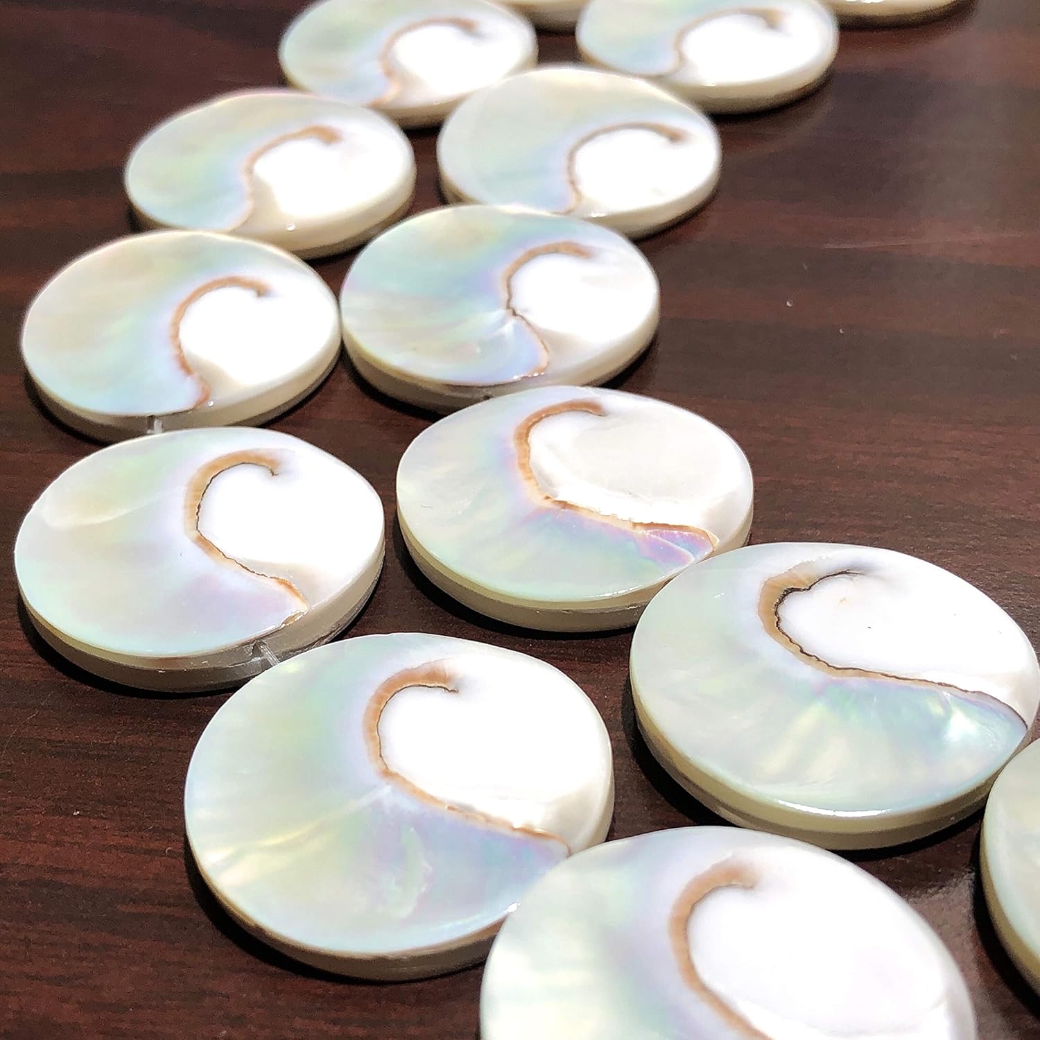 ABCGEMS Metallic-Silver Mermaid-Nautilus Beads with Iridescent Flash (Each Piece Produces Only One Bead from Its Center) Thick Nacre - Core Spiral Cut - Gigantic 30mm Coin (Full Strand - 14 Beads)