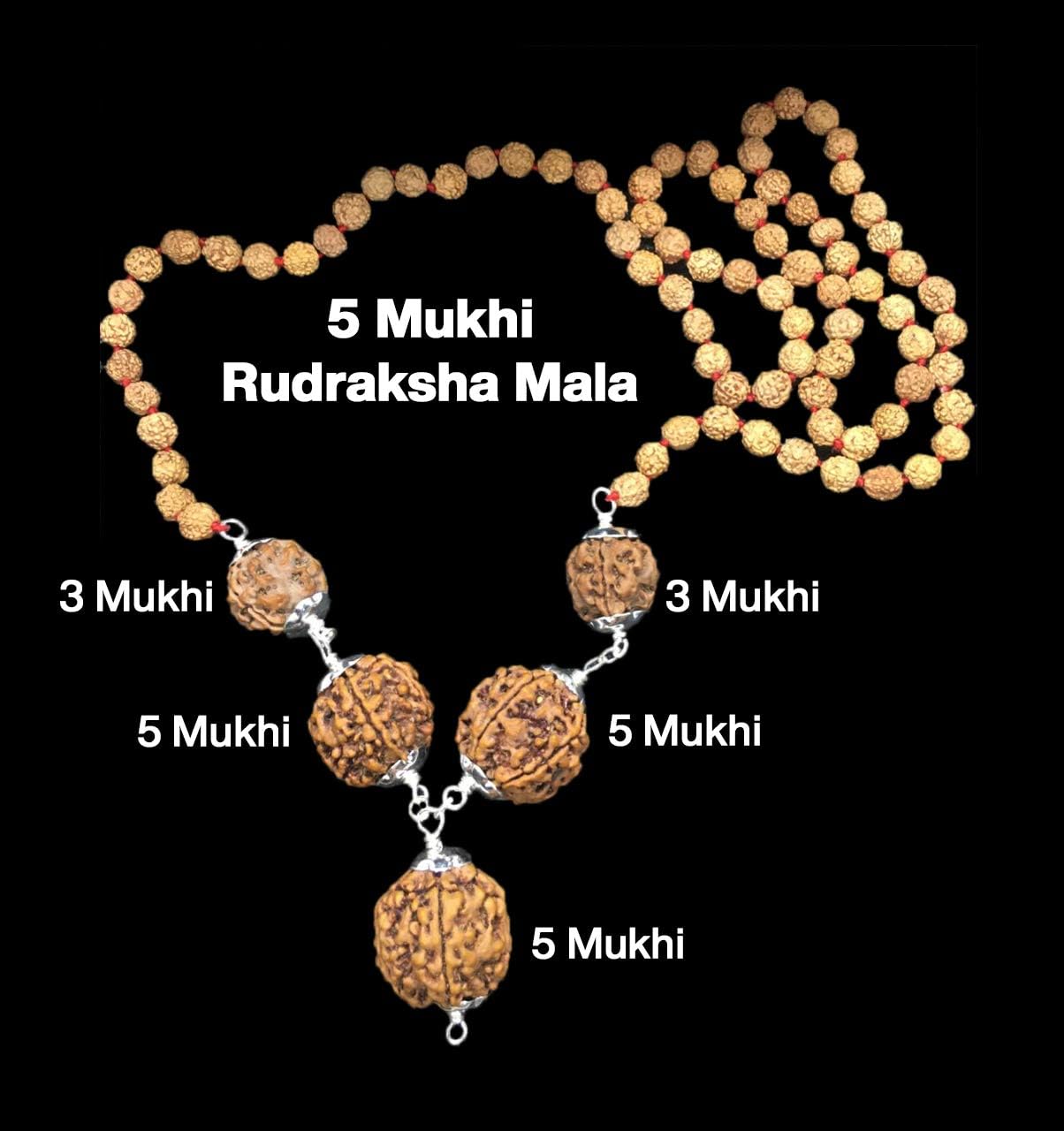 Rudraksha Combination for Health Power 3,3,5,5,5 Mukhi Nepal in Rudraksha Mala IGL Lab Certified Original Genuine Beads (Small)
