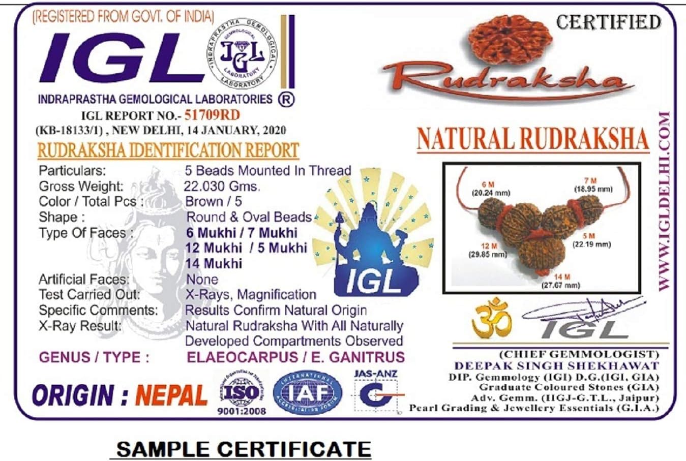 Rudraksha Combination for Hanuman Power 4,5,11 Mukhi Nepal in Silver Chain IGL Lab Certified Original Genuine Beads (Small)