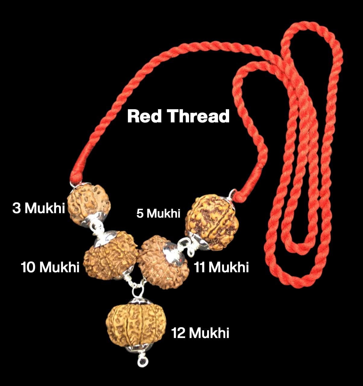 Rudraksha Combination for Navagraha Shanti 3,5,10,11,12 Mukhi Nepal in Silver Pendant IGL Lab Certified Original Genuine Beads (Medium)