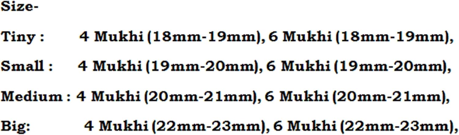 Rudraksha Combination for Students 4,4,6 Mukhi Nepal in Silver Chain IGL Lab Certified Original Genuine Beads (Small)