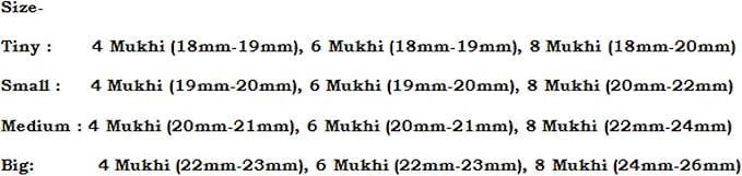 Rudraksha Combination for Creativity 4,6,8 Mukhi Nepal in Silver Pendent with Rudraksha Mala Certified (Small)