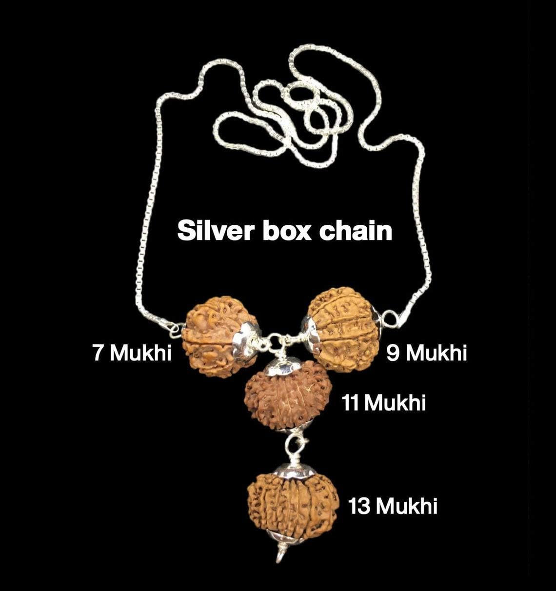 Rudraksha Combination for Wealth 7,9,11,13 Mukhi Nepal in Silver Chain IGL Lab Certified Original Genuine Beads (COLLECTER)