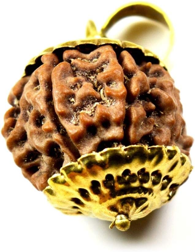 Genuine Natural 1 to 13 Nepali Mukhi Rudraksha Bead,Silver,Panchdhatu Pendant At Wholesale Rate