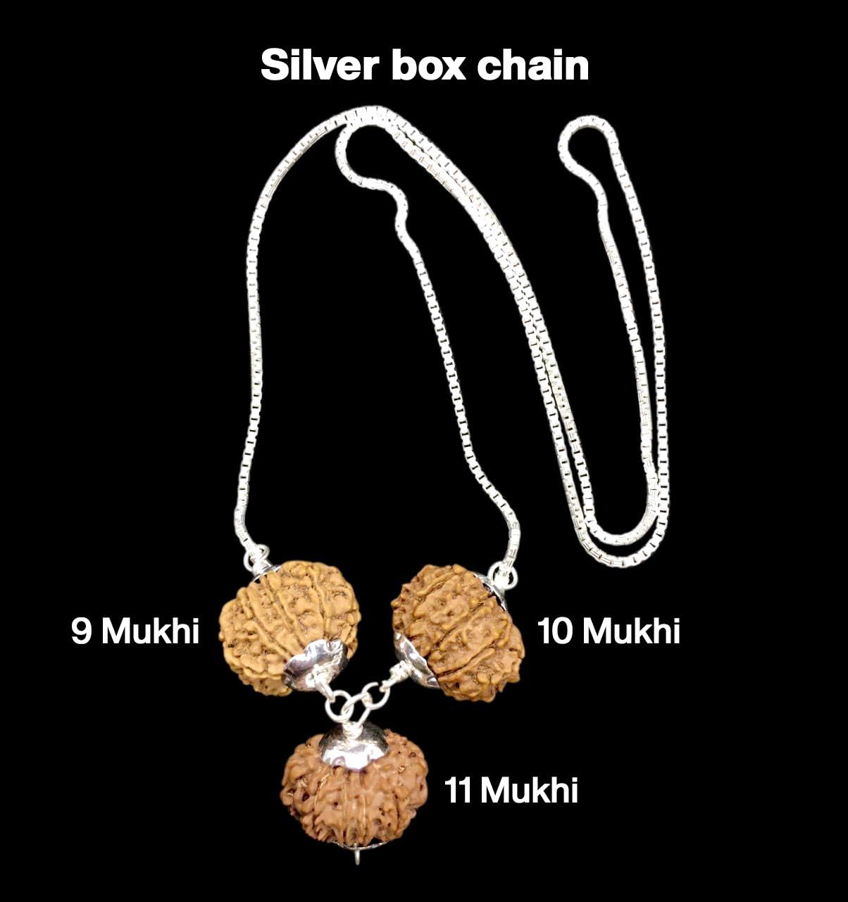 Rudraksha Combination for Total Protection 9,10,11 Mukhi Nepal in Silver Chain IGL Lab Certified Original Geniune Beads (Small)