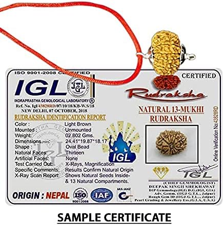13 Mukhi Nepal Rudraksha/Thirteen Face/Lord Kamadeva in Pure Silver Pendant IGL Certified 100% Original Geniune Bead All Size (Rare 30mm-32mm)