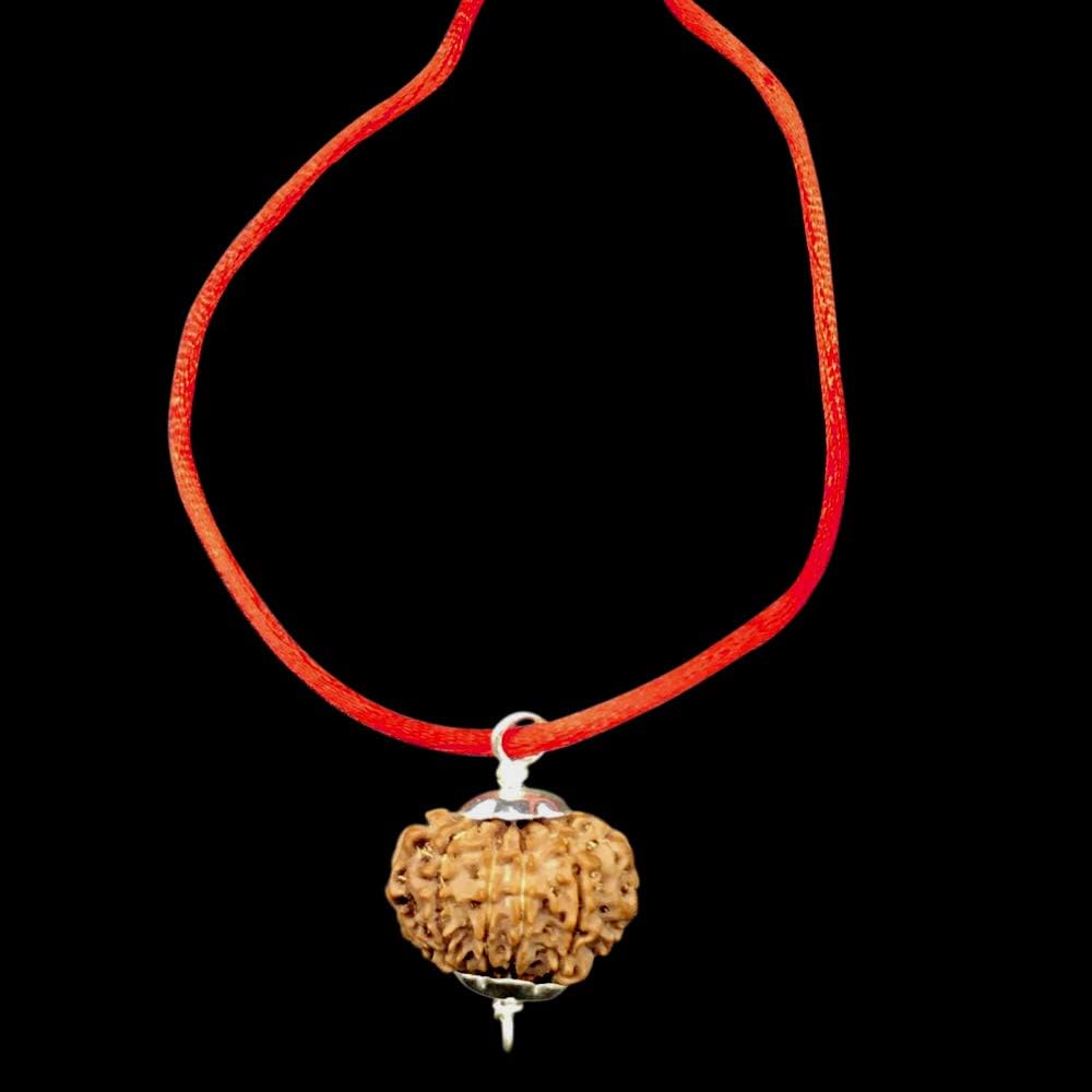 12 Mukhi Nepal Rudraksha /Twelve Face/ Lord Sun in Pure Silver Pendant IGL Certified 100% Original Geniune Bead All Size (Big 26mm-28mm)