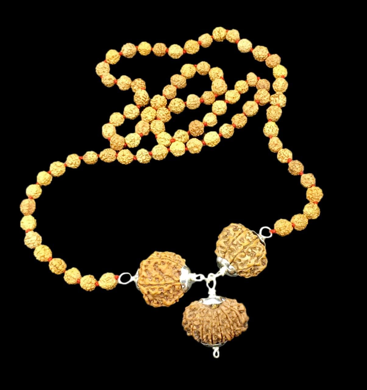 Rudraksha Combination for Business 6,8,15 Mukhi Nepal in Rudraksha Mala IGL Lab Certified Original Genuine Beads (Tiny)