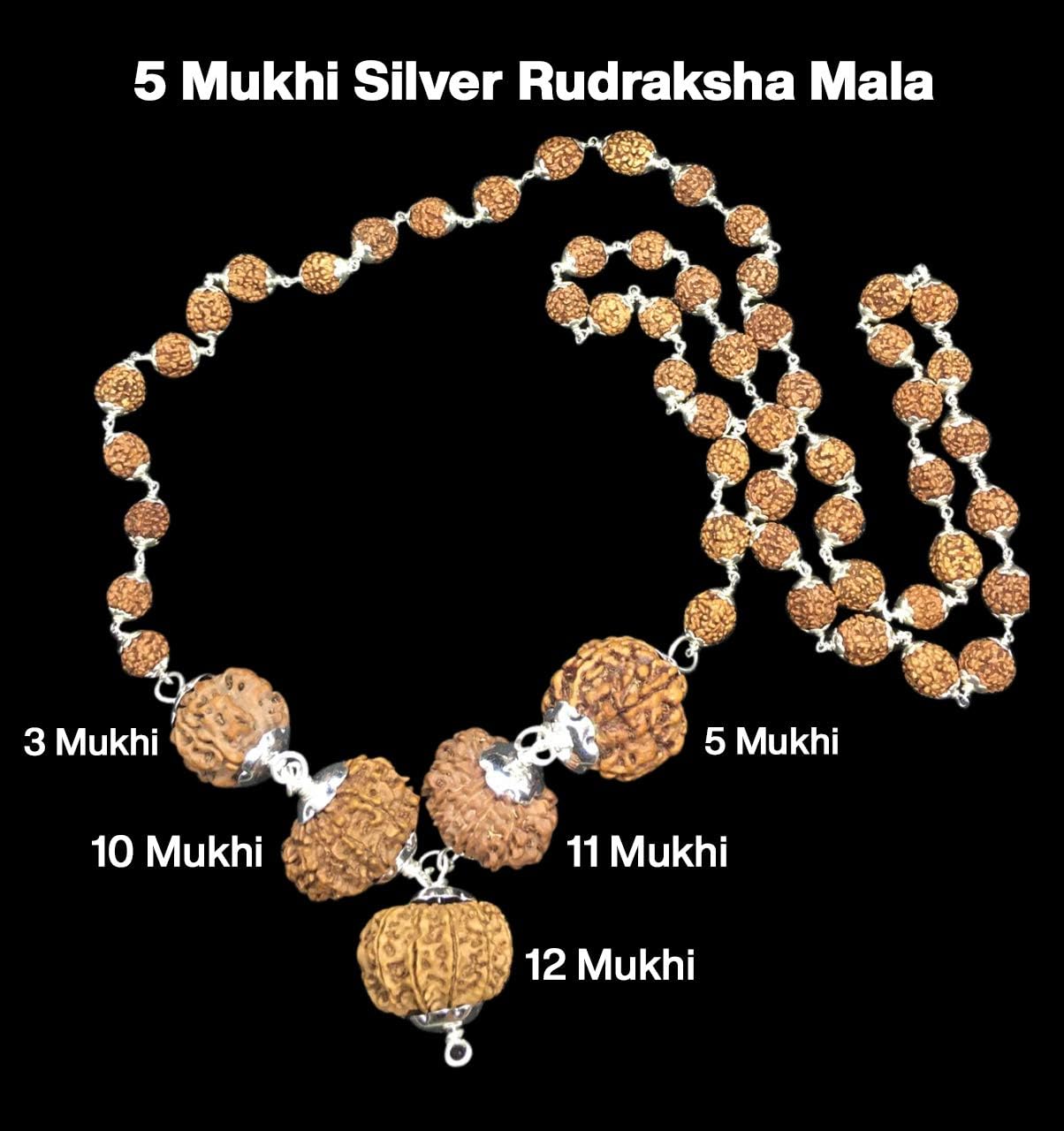 Rudraksha Combination for Navagraha Shanti 3,5,10,11,12 Mukhi Nepal in Silver Mala IGL Lab Certified Original Genuine Beads (Large)