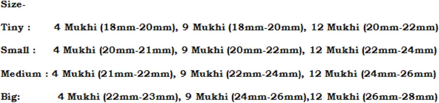 Rudraksha Combination for Doctors 4,9,12 Mukhi Nepal in Silver Mala IGL Lab Certified Original Genuine Beads (Big)