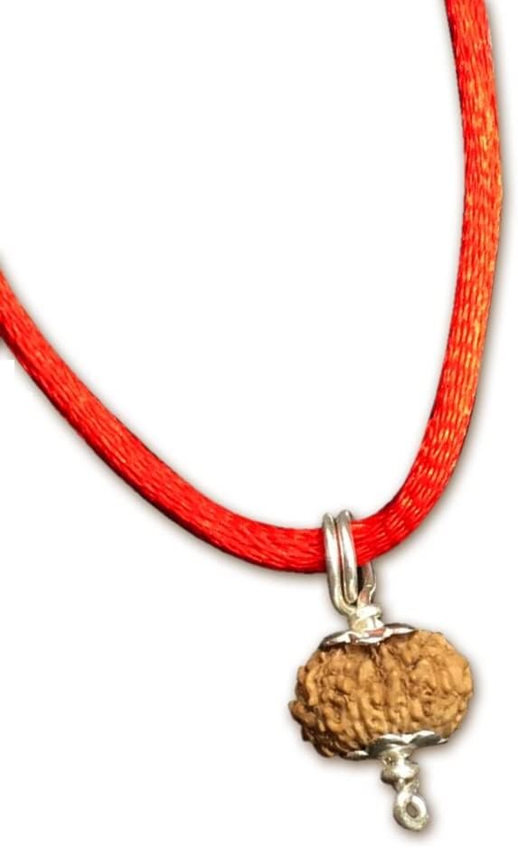 15 Mukhi Indonesian Rudraksha /Fifteen Face Java/ Lord Pashupati In Pure Silver Pendant IGL Certified 100% Original Geniune Bead All Size