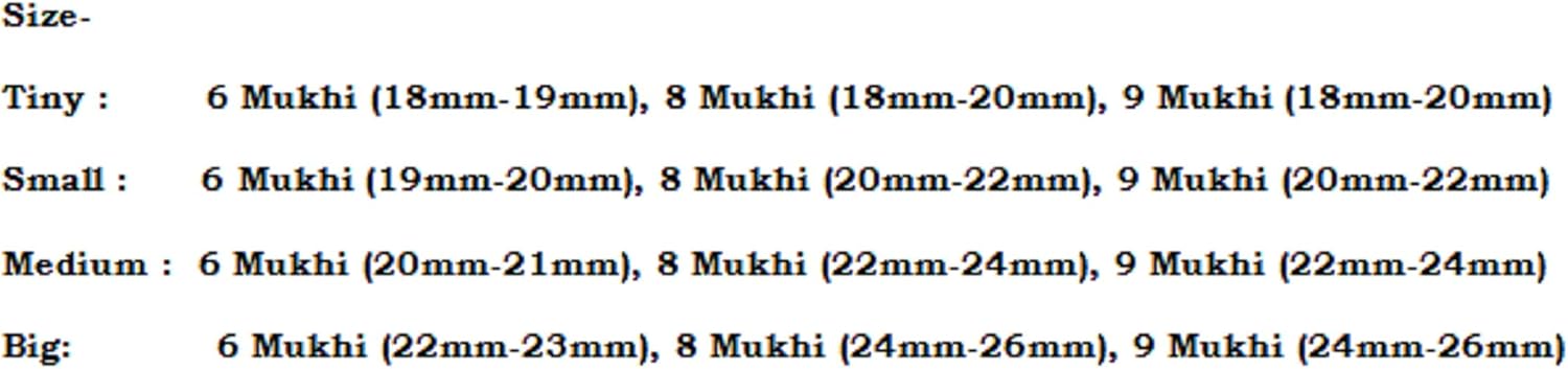 Rudraksha Combination for Females in Business 6,8,9 Mukhi Nepal in Silver Chain IGL Lab Certified Original Genuine Beads (Medium)