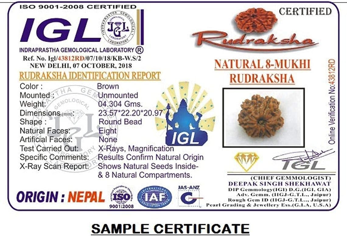 8 Mukhi Nepal Rudraksha /Eight Face/ Lord Ganesh in Pure Silver Pendant IGL Certified 100% Original Geniune Bead All Size (Collector (26mm-28mm))