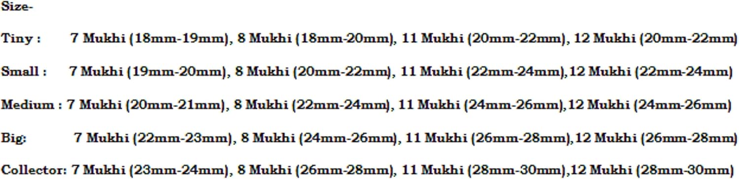 Rudraksha Combination for Business Power (Executives & Businessmen) 7,7,8,11,12 Mukhi Nepal in Silver Chain IGL Lab Certified (Small)