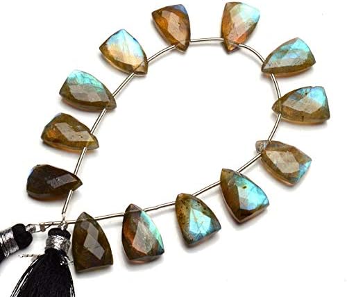 GEMZ 8 inch Strand of Natural Labradorite Trillion Shape Faceted Cut Gray Color briollete Beads for DIY Jewelry Making- Earring Necklace Bracelet.