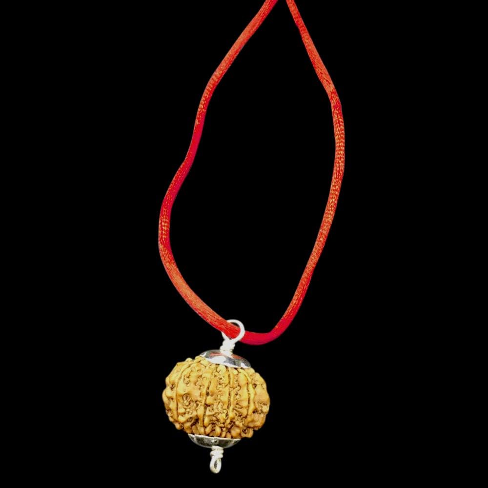 9 Mukhi Nepal Rudraksha /Nine Face/ Goddess Durga in Pure Silver Pendant IGL Certified 100% Original Geniune Bead All Size (Collector 26mm-28mm)
