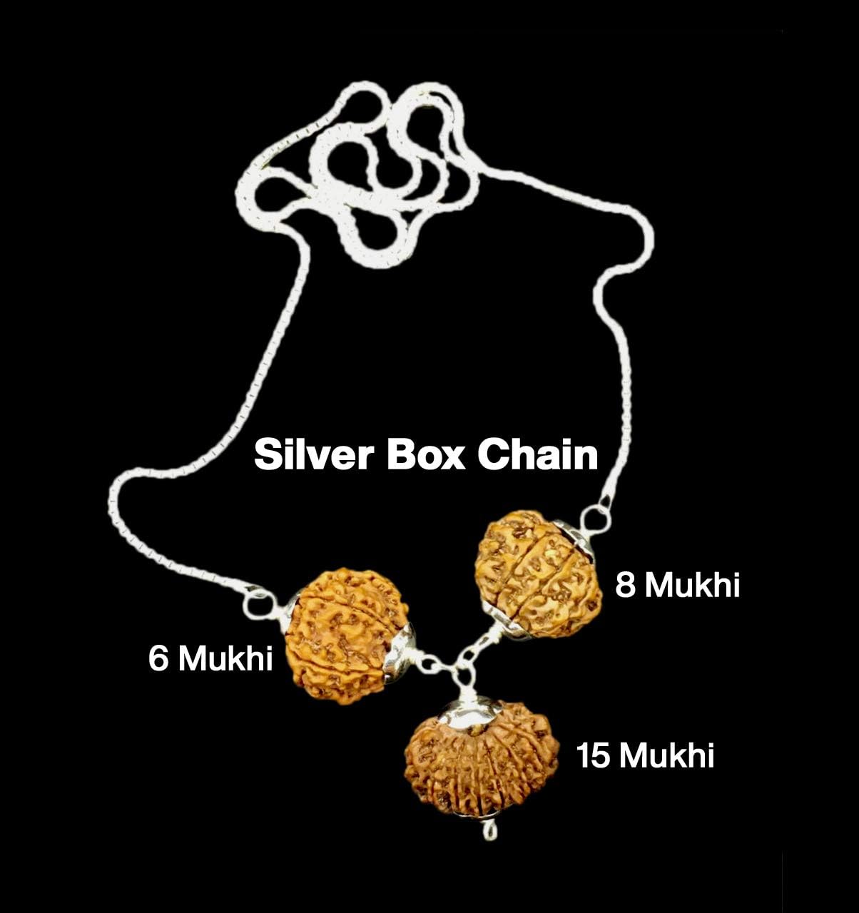 Rudraksha Combination for Business 6,8,15 Mukhi Nepal in Silver Chain IGL Lab Certified Original Genuine Beads (Tiny)