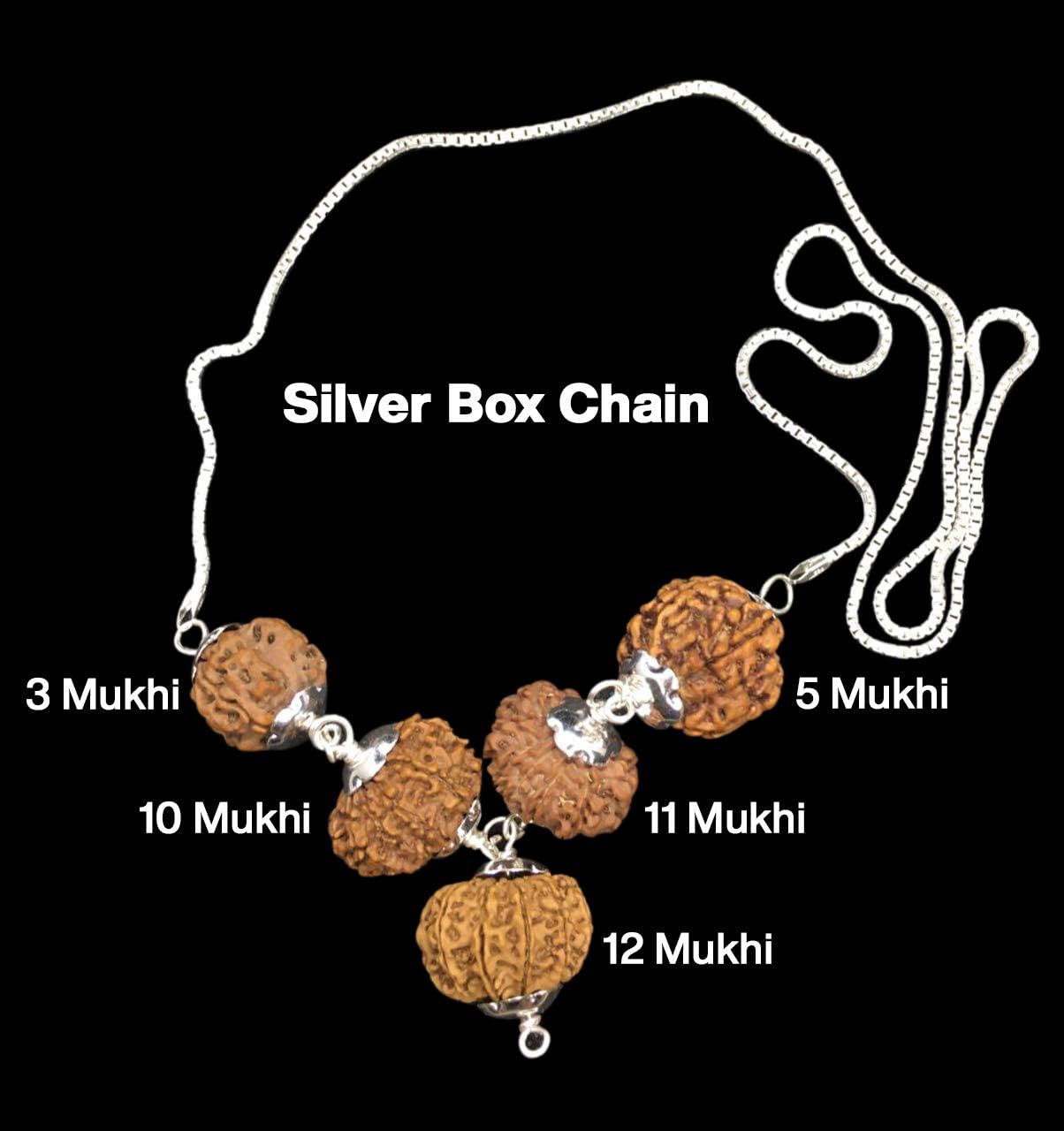 Rudraksha Combination for Navagraha Shanti 3,5,10,11,12 Mukhi Nepal in Silver Chain IGL Lab Certified Original Genuine Beads (Small)
