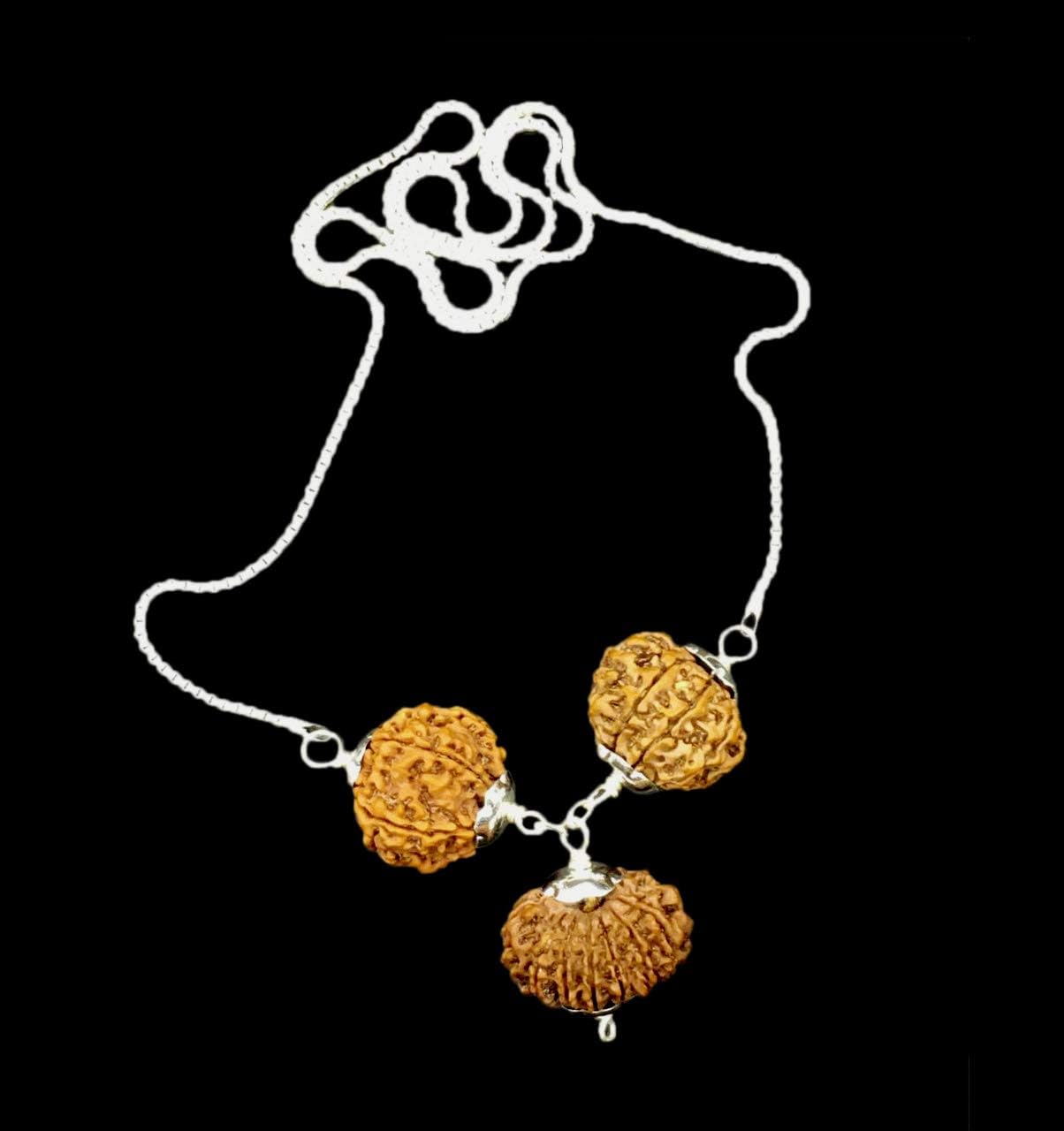 Rudraksha Combination for Business 6,8,15 Mukhi Nepal in Silver Chain IGL Lab Certified Original Genuine Beads (Tiny)