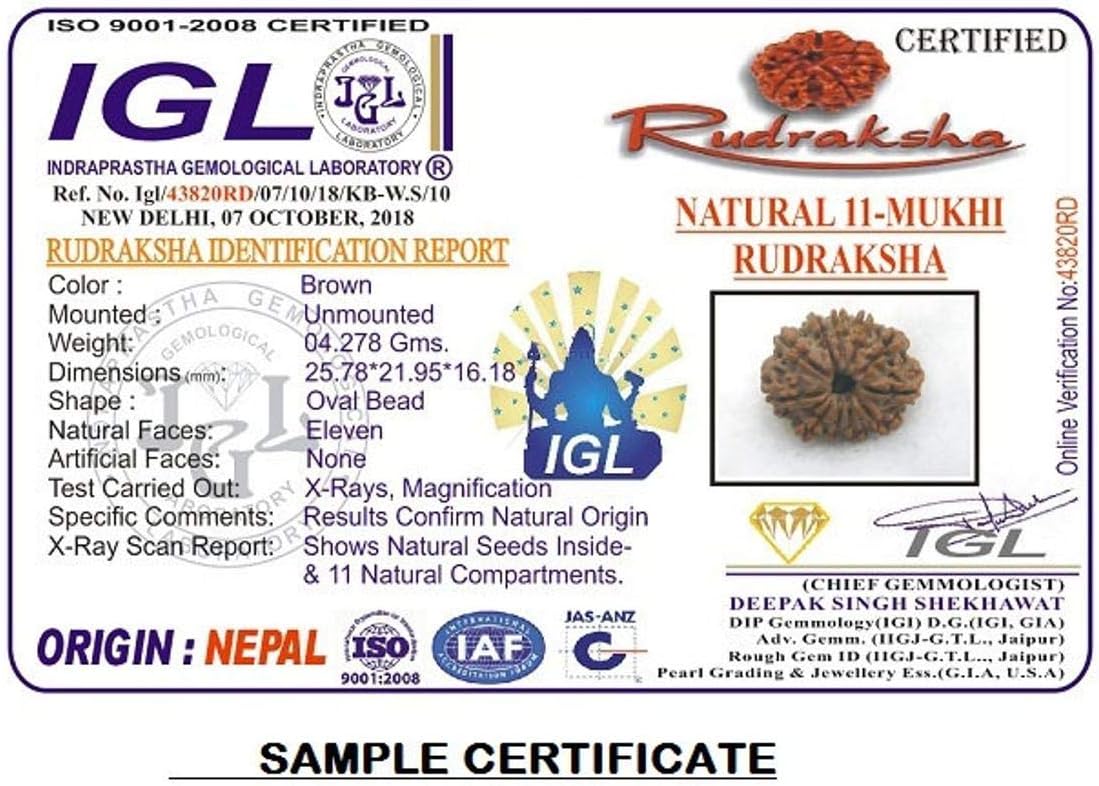 11 Mukhi Nepal Rudraksha/Eleven Face/Lord Hanuman In Pure Silver Bracelet IGL Certified 100% Original Geniune Bead All Size