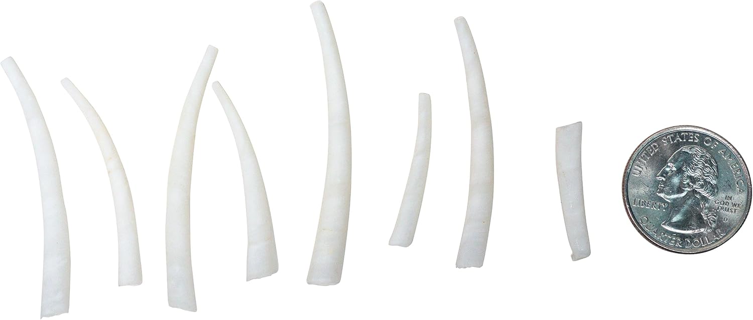 Quarter Pound (LB) Bag of 0.75