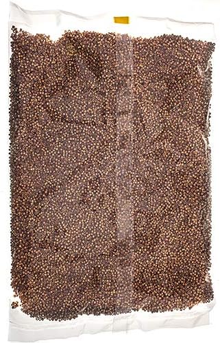 Miyuki Delica 11/0 - Duracoat Galvanized Champagne DB1834 | 250gms Bag of Japanese Glass Beads