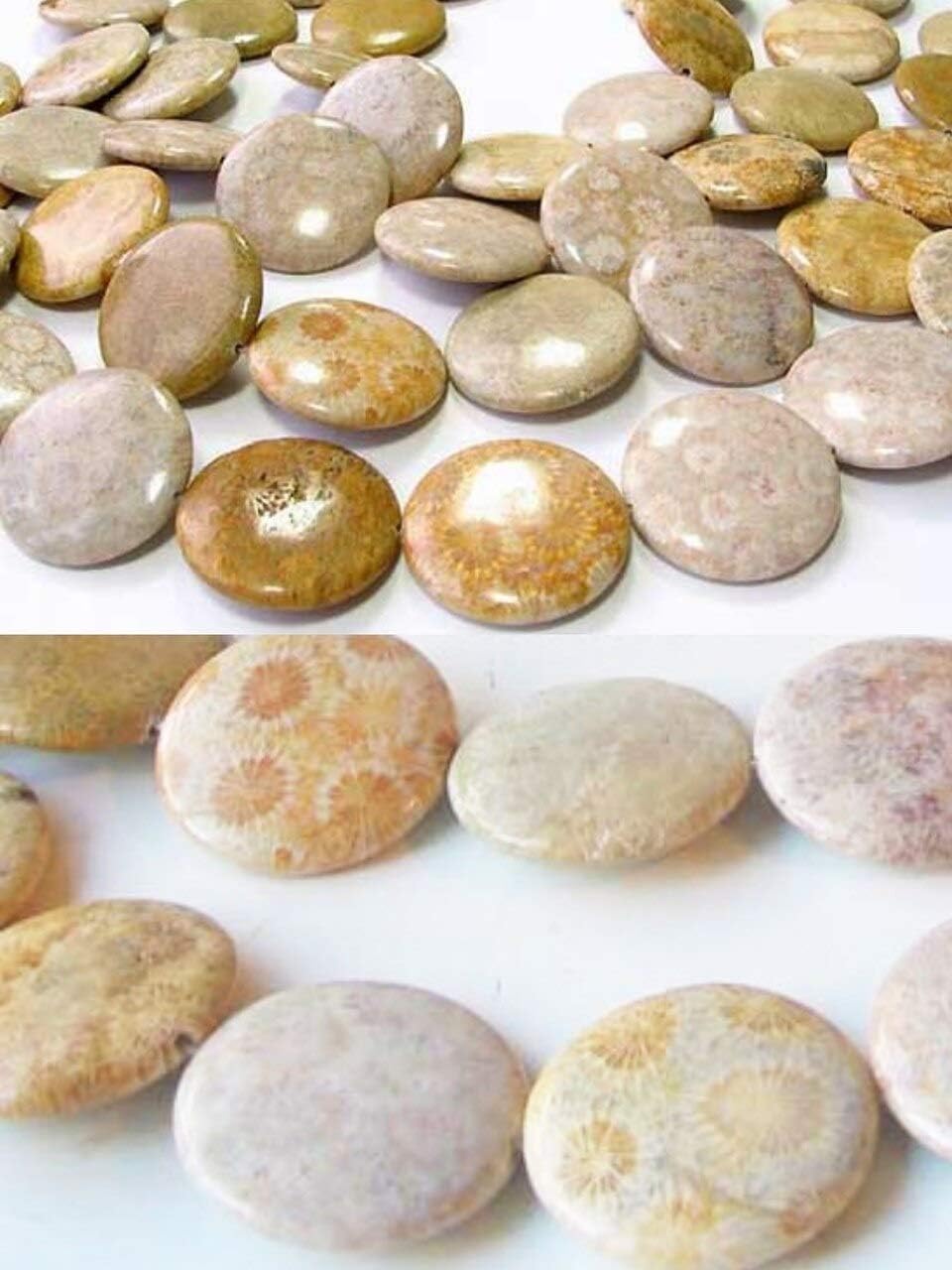 Fossilized Coral 35mm Coin Pendant Bead Strand 109156 for Jewelry Making