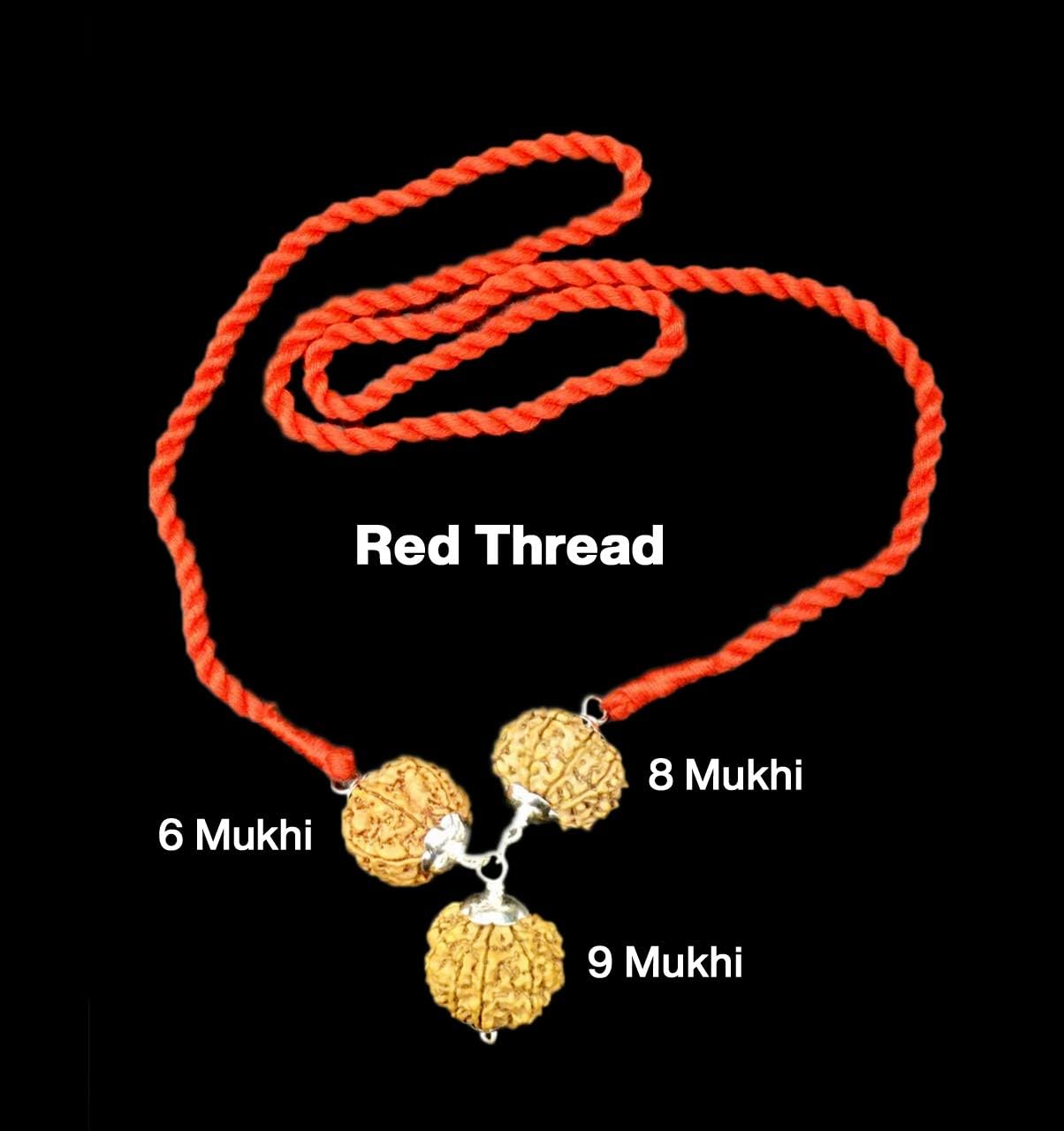 Rudraksha Combination for Doctors 4,9,12 Mukhi Nepal in Silver Pendant IGL Lab Certified Original Genuine Beads (Small)